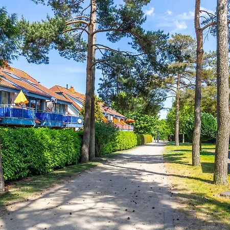 Apartment Papillon 9-8 Ostseekoje Boltenhagen