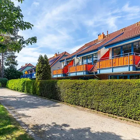 Papillon 9-8 Ostseekoje