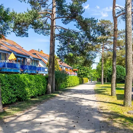 Papillon 9-8 Ostseekoje * Boltenhagen